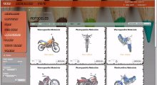 virtualro - Client 5
